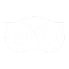 bridgeinntripa